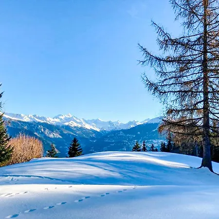 Les Bardeaux Tatil Evi *