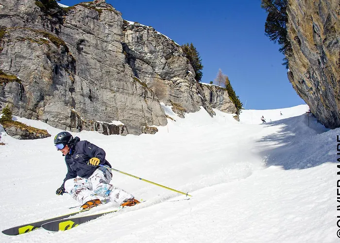 Tatil Evi Les Bardeaux *