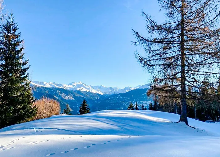 Les Bardeaux Tatil Evi *