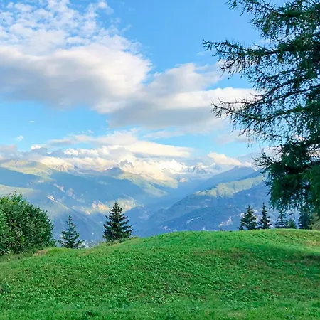 Les Bardeaux Crans-Montana